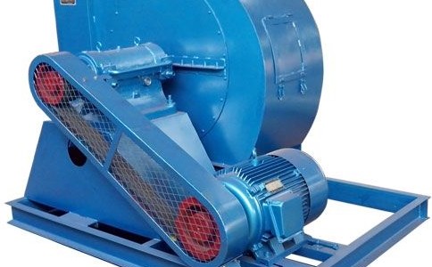 timg (1).jpg timg (1).jpg